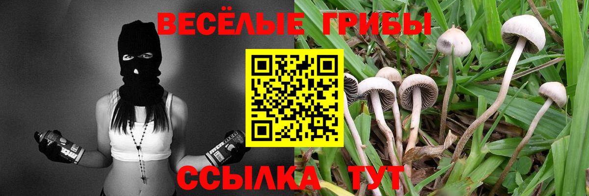 Джанкой  Псилоцибиновые грибы GOLDEN TEACHER  Вход с VPN 